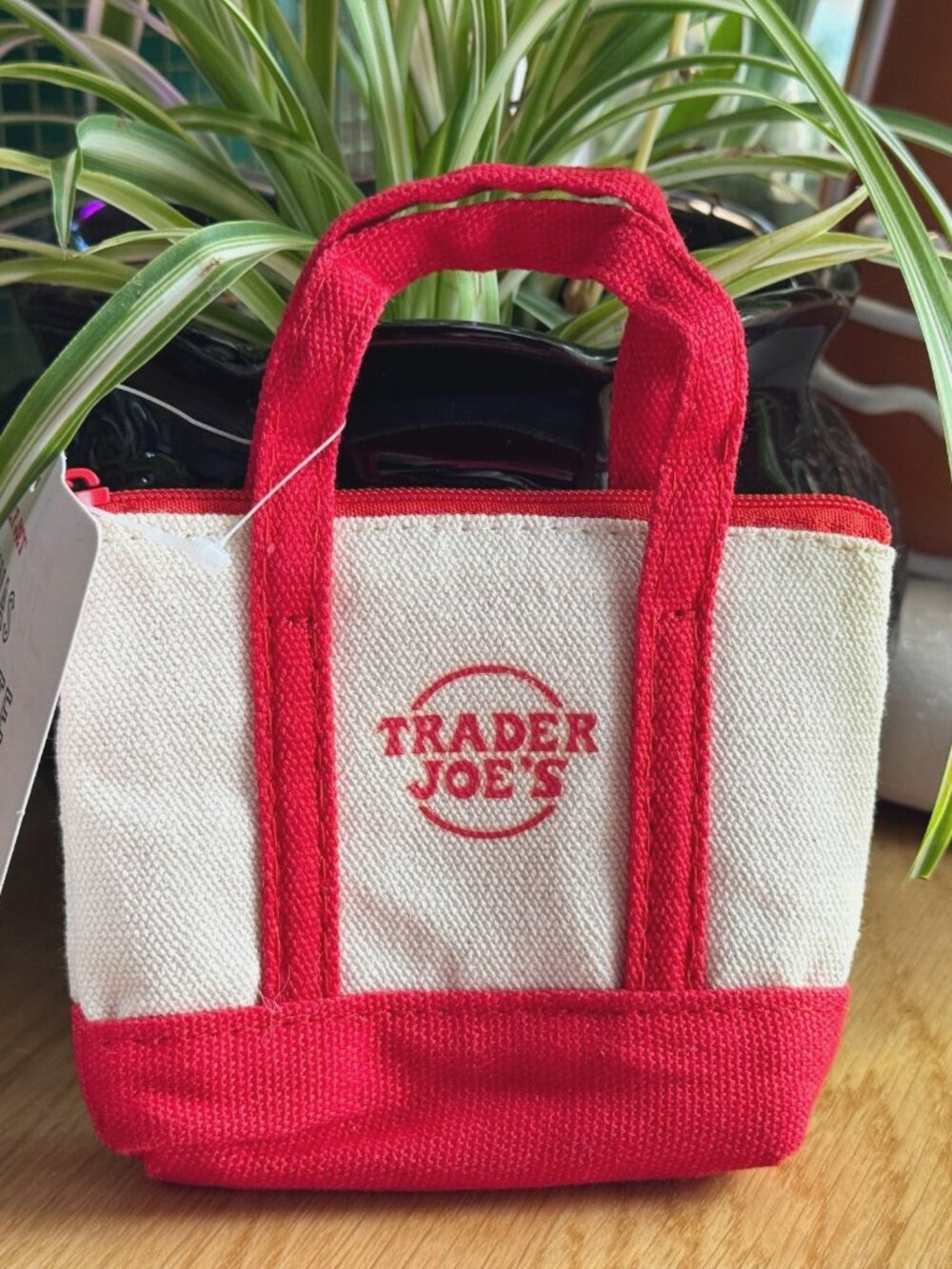 Trader Joe's Canvas Micro Tote with Grocery Bag, Red